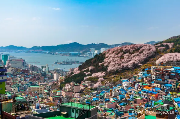 Vietnam Airlines Flights to Cheongju