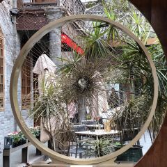 TING XIANG User Photo