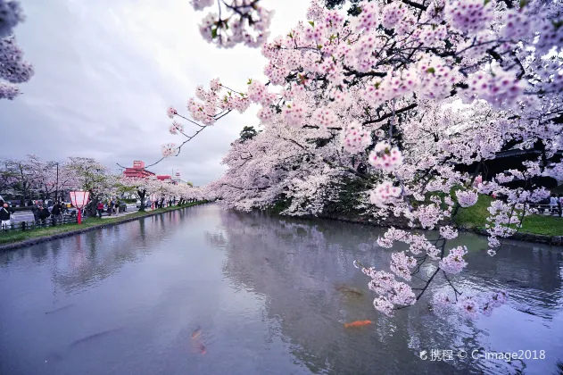 木崎野公園周辺のホテル