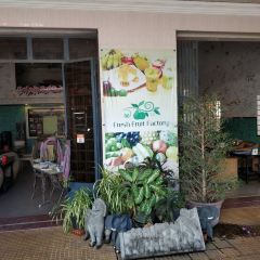 Fresh Fruit Factory User Photo