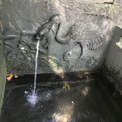 西天目林海农庄 User Photo