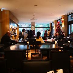 Hibiya Matsumotoro User Photo