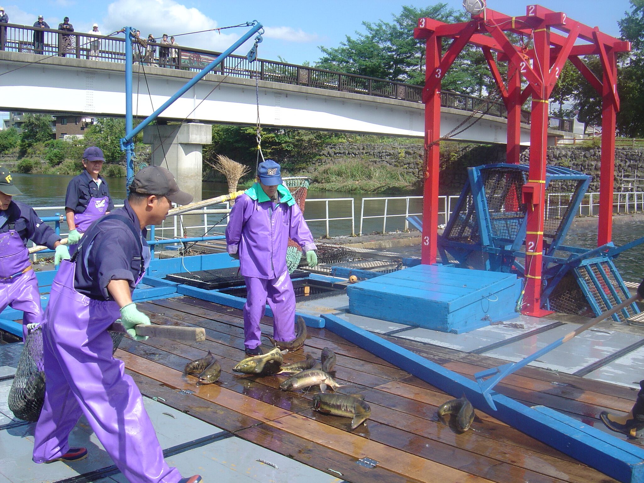 Chitose Salmon Aquarium Admission E-Ticket