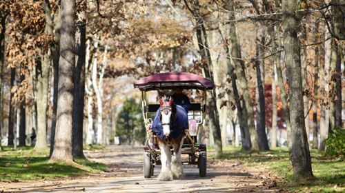 北國馬場主題公園