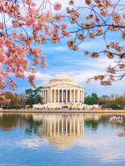 Thomas Jefferson Memorial