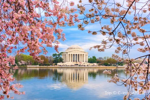 Thomas Jefferson Memorial