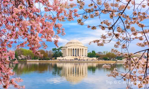 Thomas Jefferson Memorial