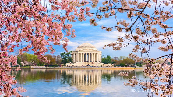 Thomas Jefferson Memorial
