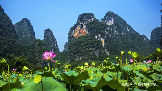 陽朔漓江三星船/四星遊船+遇龍河竹筏漂遊一日【小團/私人導覽】