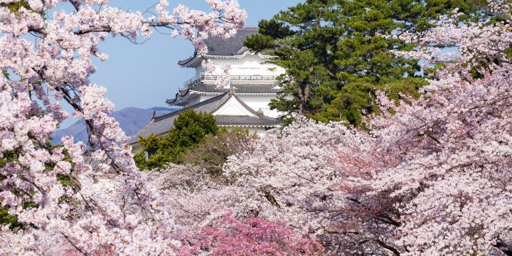 Odawara Castle