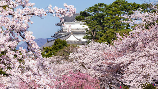 ปราสาทโอะดะวะระ