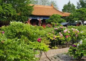 Jingshan Park