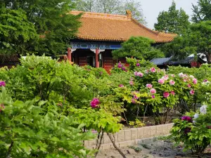 Jingshan Park