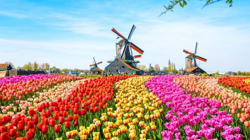 Zaanse Schans