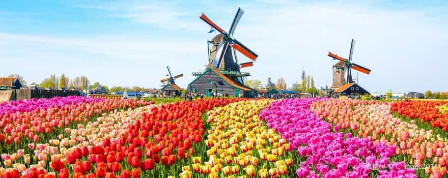 Zaandam