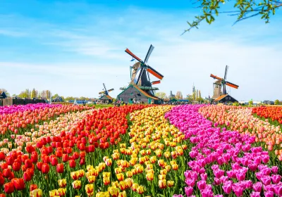 Zaandam