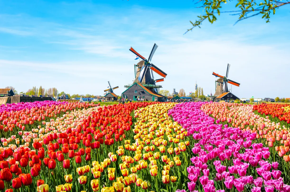 2_Zaanse Schans