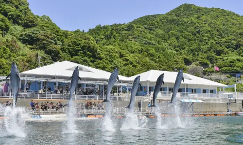 Oita Marine Palace Aquarium "Umitamago"
