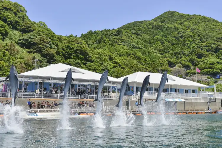 Daiwa Roynet Hotels in Ōita