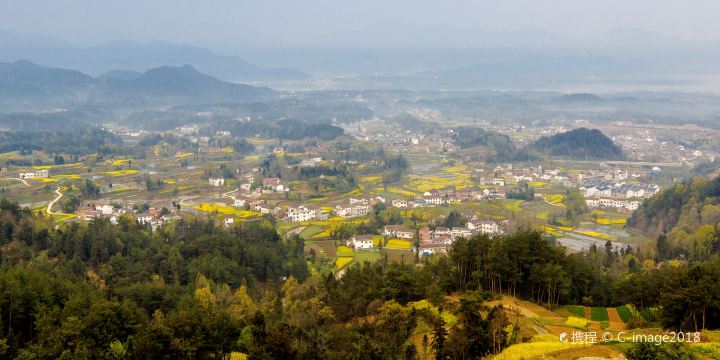 Hanzhong Rapeseed Flower Field
