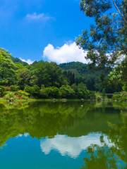 千湖植物園