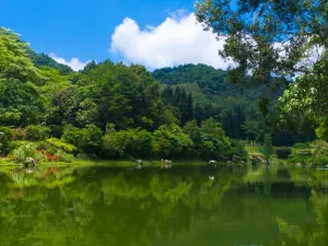 Fairy Lake Botanical Garden