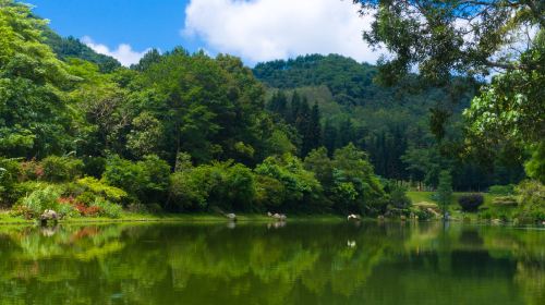 Shenzhen Xianhu Botanical Garden