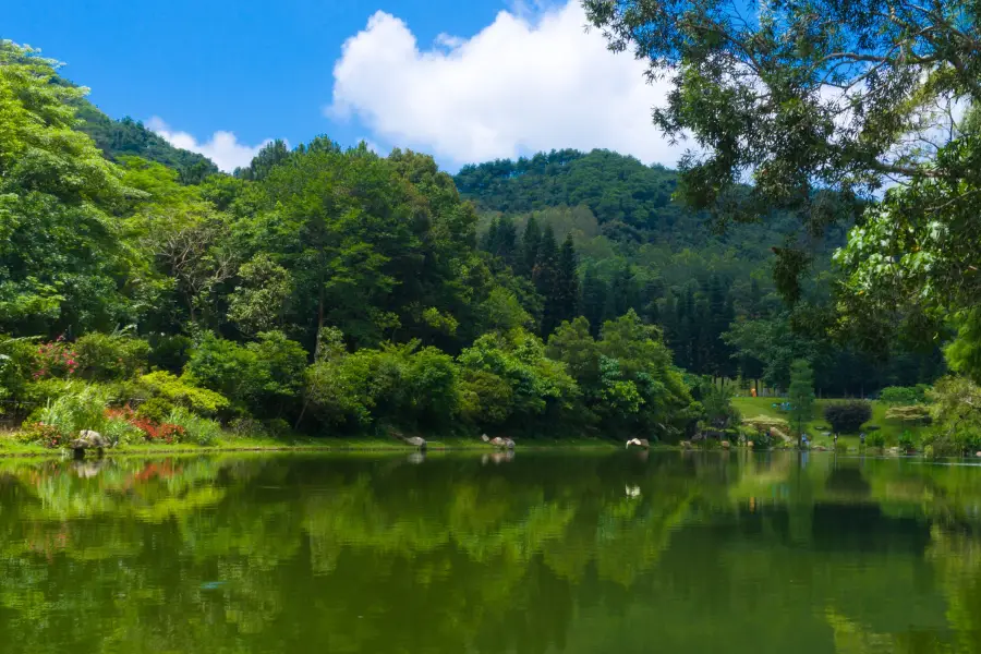 Shenzhen Xianhu Botanical Garden