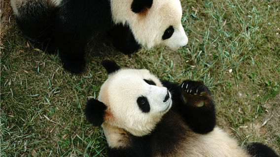 Liyang