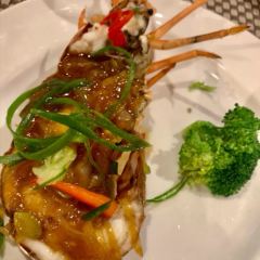 金茂深圳JW万豪酒店·Café Chinois 万豪西餐厅 User Photo