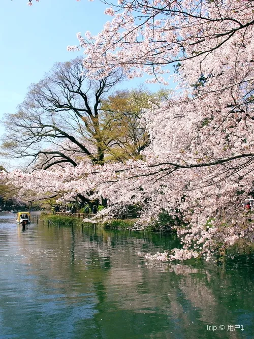 5_井之頭恩賜公園