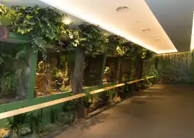 พิพิธภัณฑ์งู