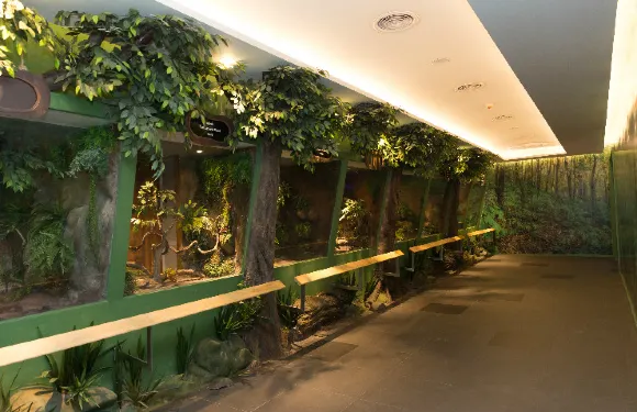 暹羅蛇園門票小童