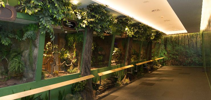 Siam Serpentarium