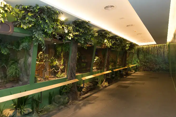 시암 세르펜타리움 주변 호텔