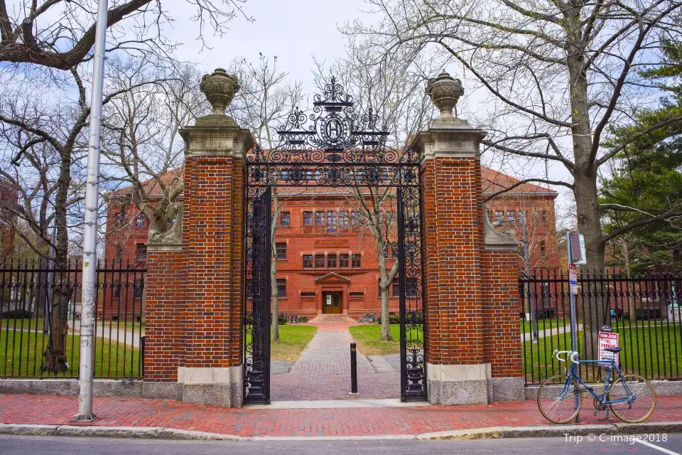 3_Università di Harvard