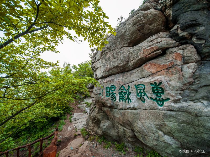 Xiaohei Mountain Forest Park