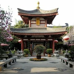 Tang Dynasty Art Garden Hotel Xi'an Shanxi Guan Fu Cuisine User Photo