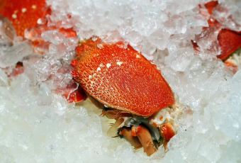 Grand Café User Photo