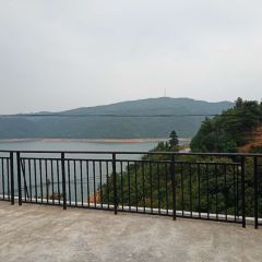 喜洋洋農莊張用戶圖片