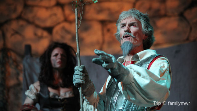 Vineta Festival (Vineta-Festspiele)