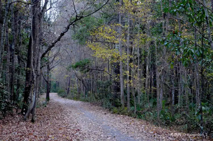 Hotels in Goose Creek
