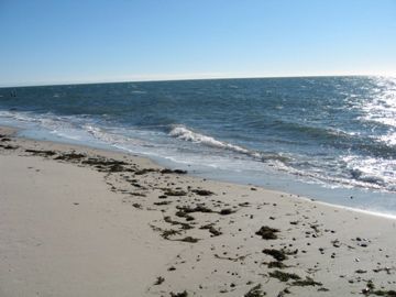 Barnstable