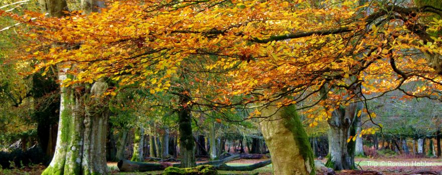 Nansen Wayside Park