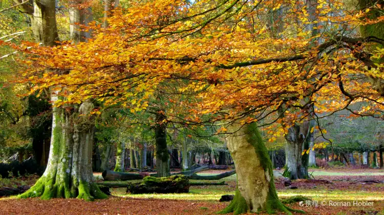 Hotels in Milan