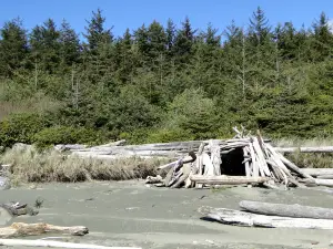 Réserve de parc national Pacific Rim