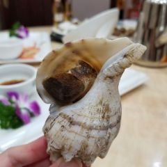 Lao Fu Ding User Photo