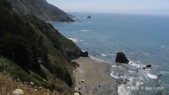 Del Norte Coast Redwoods State Park