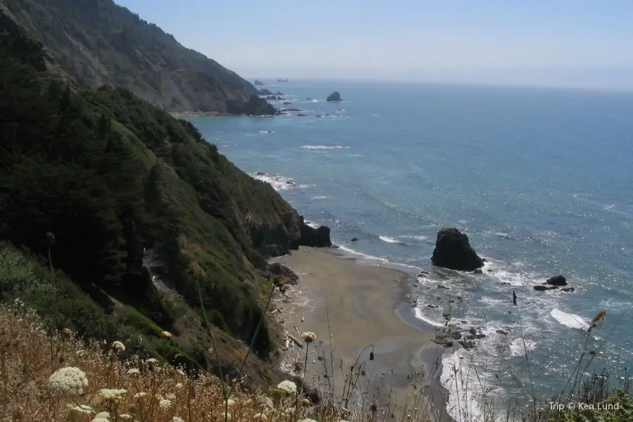 Del Norte Coast Redwoods State Park