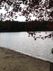 Sandy Pond